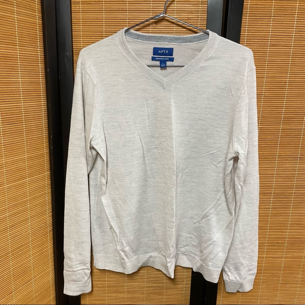 Men’s size Large V-neck sweater